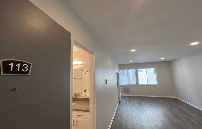 Studio, 1 bath, 615 sqft, $1,795, Unit 113