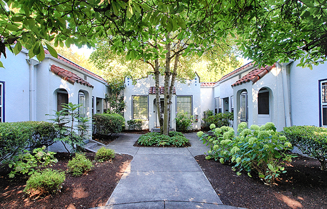 LA BONITA APARTMENTS (CZOP02)