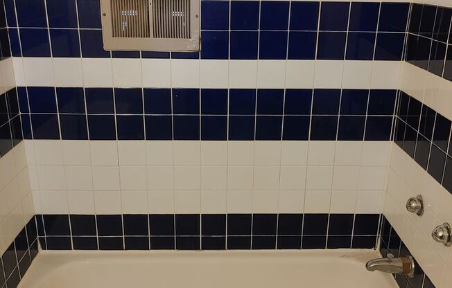 Studio, 1 bath, $795, Unit 310