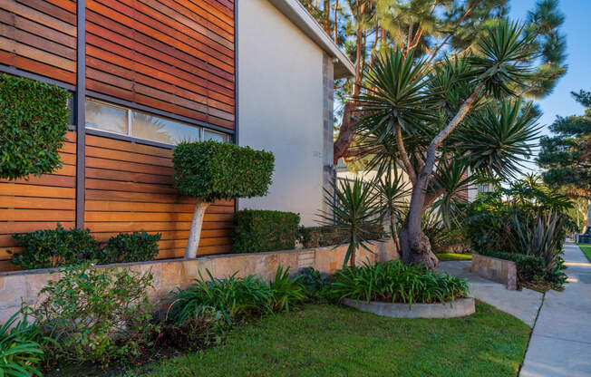 Welcome to Venice Dreams