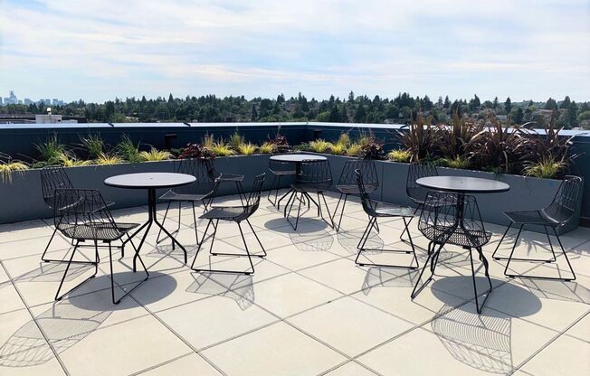 Studio, 1 bath, 243 sqft, $1,375, Unit 209