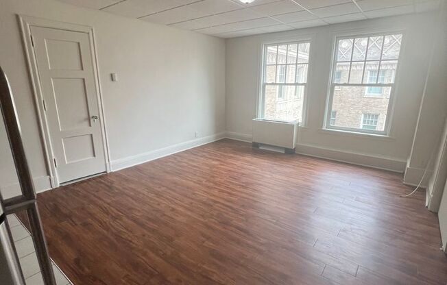 Studio, 1 bath, 224 sqft, $1,000, Unit 917