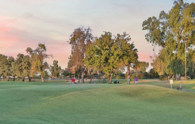 Broadstone at Dobson Ranch Green Area with Trees