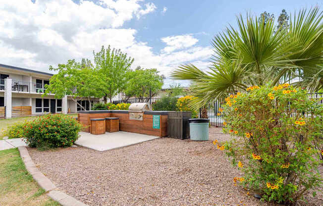 A gravel area with a building in the background and a palm tree in the foreground.