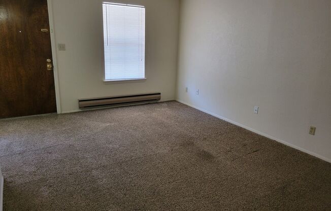 1 bed, 1 bath, $675, Unit 16