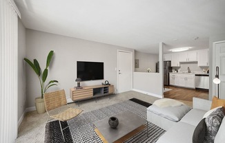Model living room