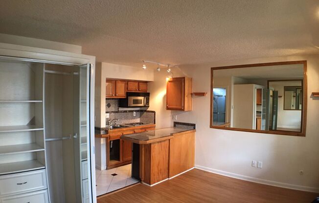 Studio, 1 bath, 250 sqft, $1,195, Unit 208