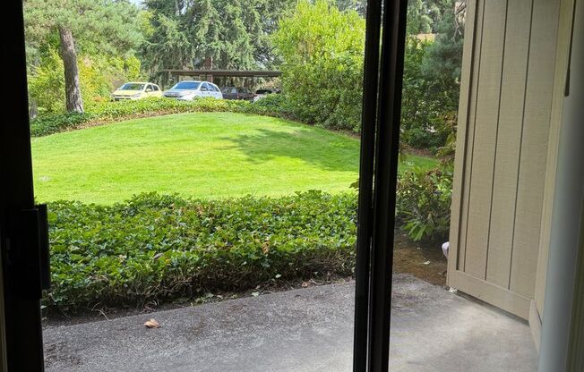 1 bed, 1 bath, 700 sqft, $1,440, Unit 0223