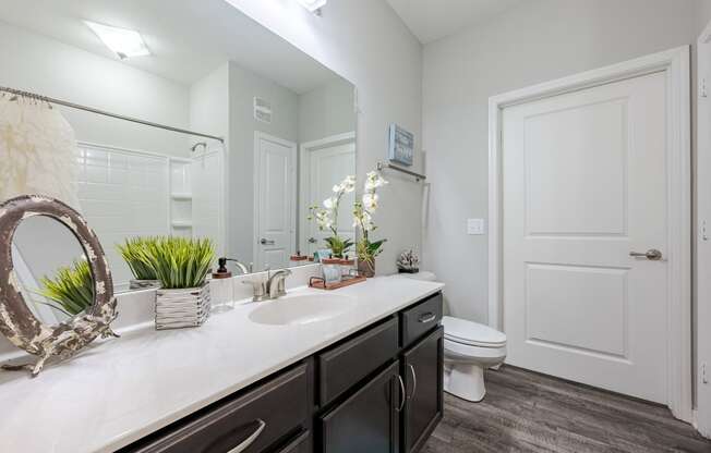 a bathroom with a sink and a toilet and a mirror