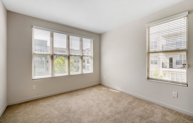 a living room with two windows and a carpeted floor