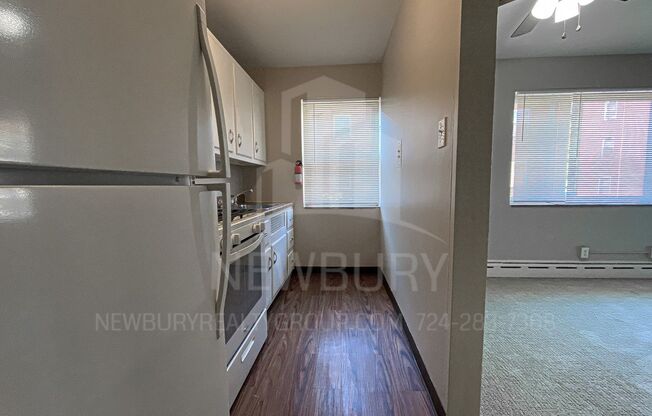 1 bed, 1 bath, 564 sqft, $725, Unit T 10