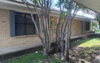 Close to Reicher School