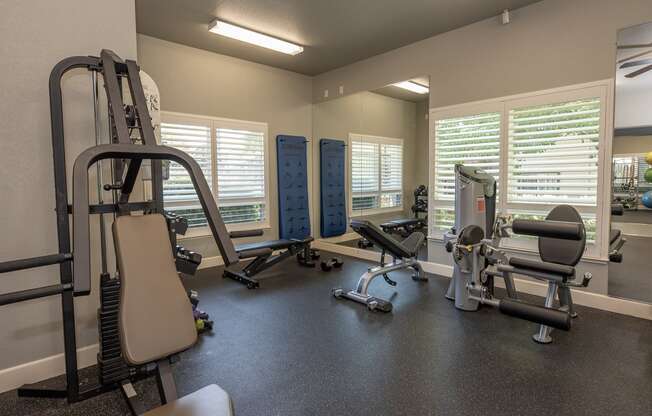 Stoneridge Fitness Center strength machines