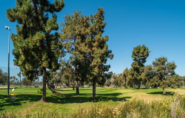 A Relaxing Day on The Fairway