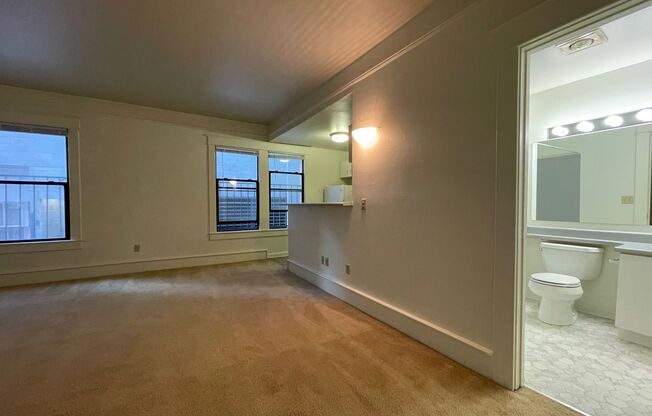 Studio, 1 bath, 464 sqft, $1,150, Unit 119