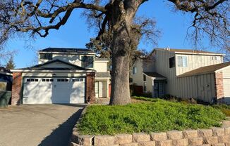 Nice Roseville home - available May 1st