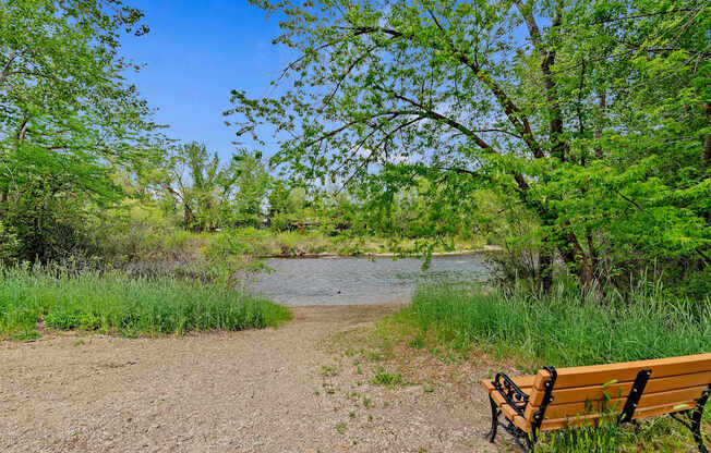 A wooden bench sits on a dirt path next to a river.