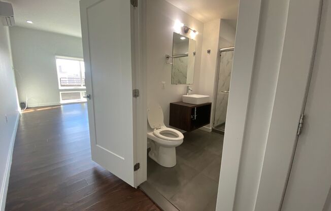 Studio, 1 bath, 400 sqft, $1,310, Unit 502