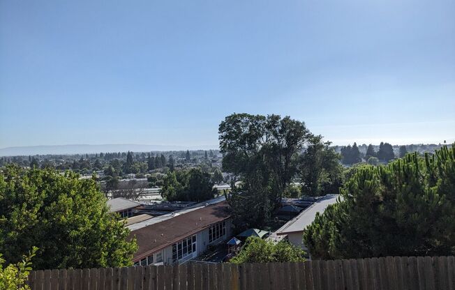 Hayward Hills Home with a View