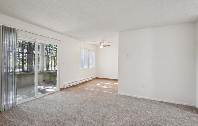 A room with a carpeted floor and a sliding glass door.