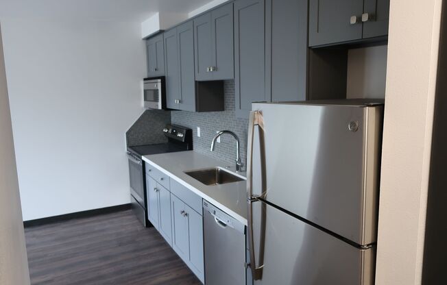 Cohanim Renaissance on The University Ave!