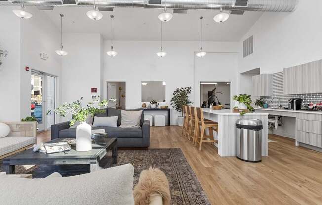 an open living room and kitchen with a dog in the middle