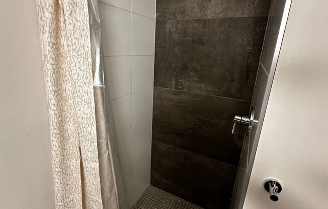 Studio, 1 bath, 244 sqft, $1,495, Unit 113 - Furnished