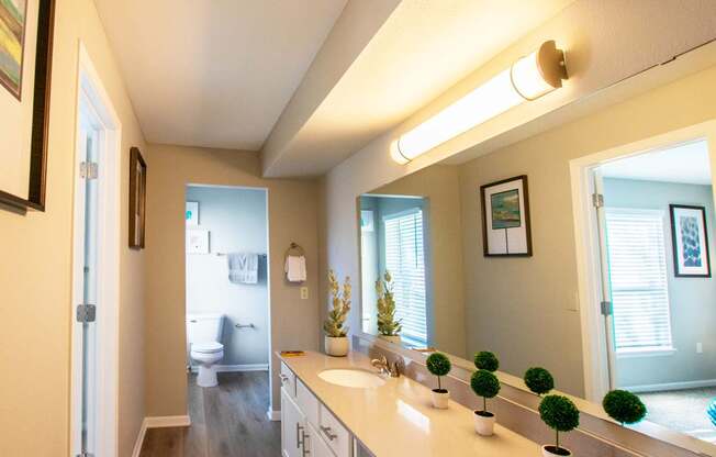 A bathroom with a vanity, a mirror, and a potted plant.