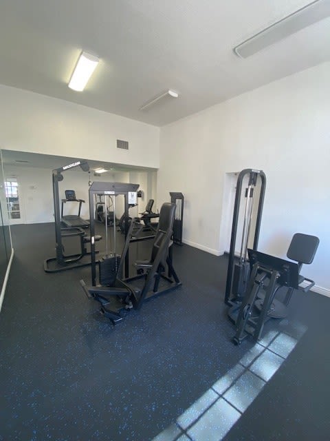 a gym with a lot of exercise equipment in it