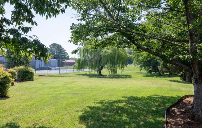 a park with trees and grass and a tennis court