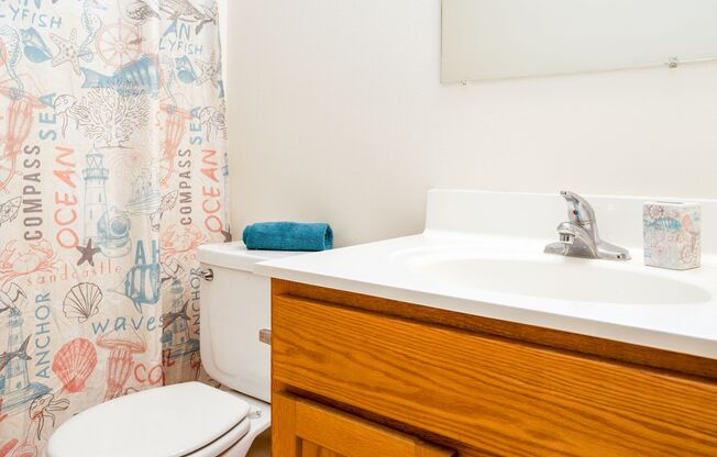 1 bed, 1 bath, 730 sqft, $1,275, Unit 4-8256