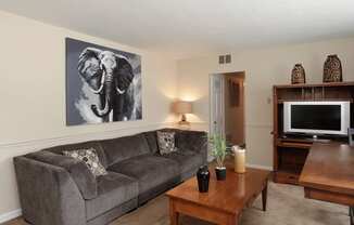 Living room with gray couch and elephant painting