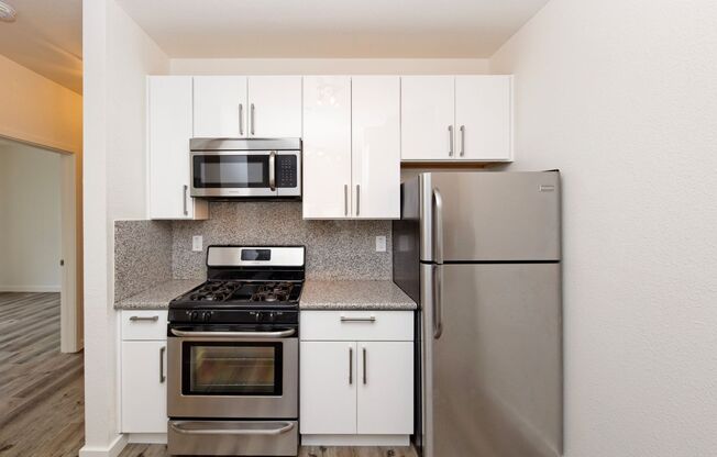 1 bed, 1 bath, 700 sqft, $2,395, Unit 303 - empty