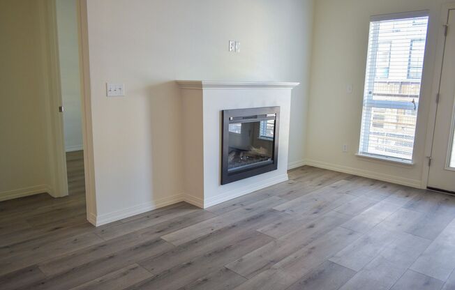 Studio, 1 bath, 308 sqft, $1,125, Unit 204