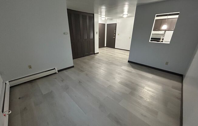 Studio, 1 bath, $875, Unit 320