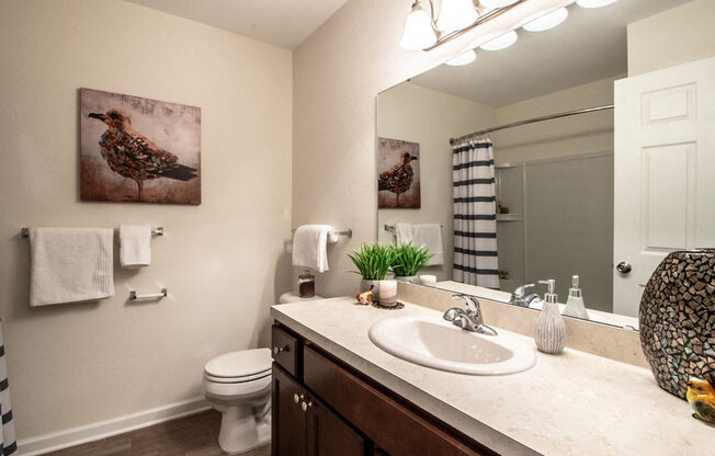 Modern Bathroom at Killian Lakes Apartments and Townhomes, Columbia, SC