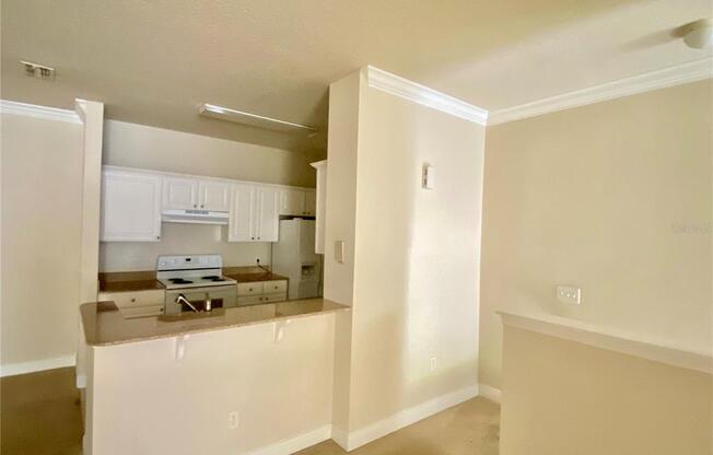 303 SOUTHERN PECAN CIR