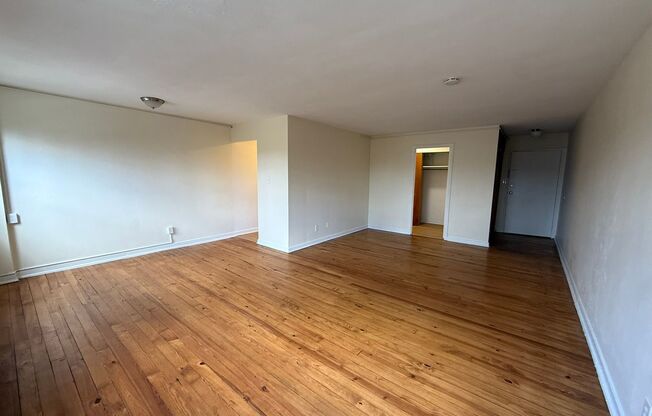 Studio, 1 bath, 487 sqft, $1,250, Unit Fifth 102