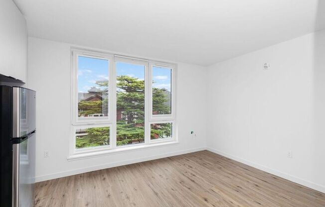 Studio, 1 bath, 305 sqft, $1,650, Unit 512