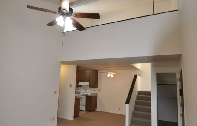 11xx Marcie Circle
