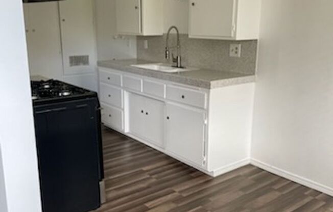 1 bed, 1 bath, $1,300, Unit 1