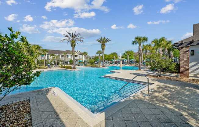 A large swimming pool surrounded by palm trees and a stone border.