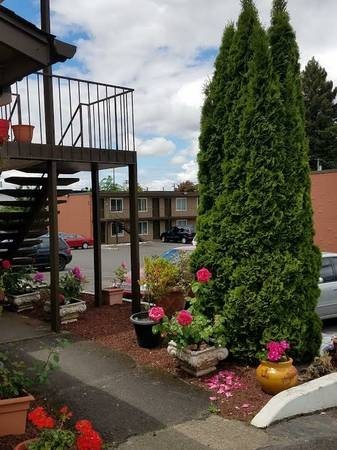 1 bed, 1 bath, 450 sqft, $1,295, Unit 275