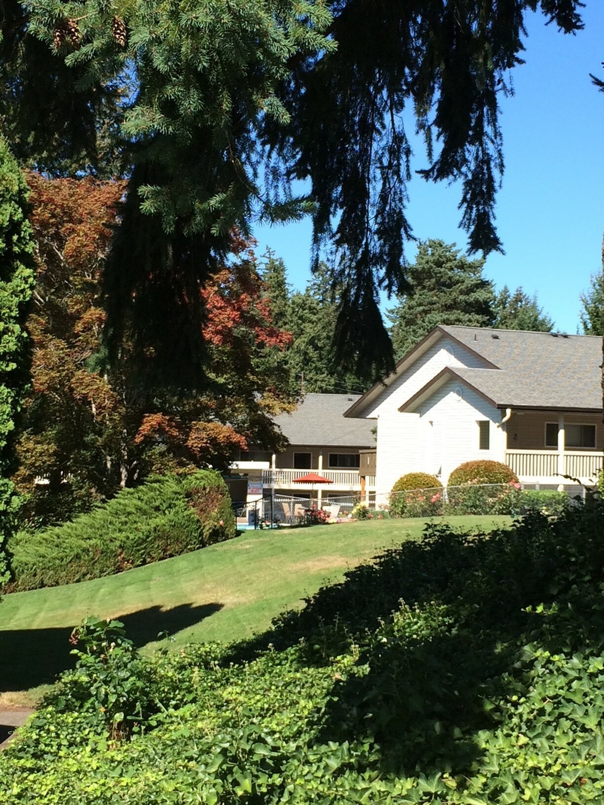 803 - The Maples