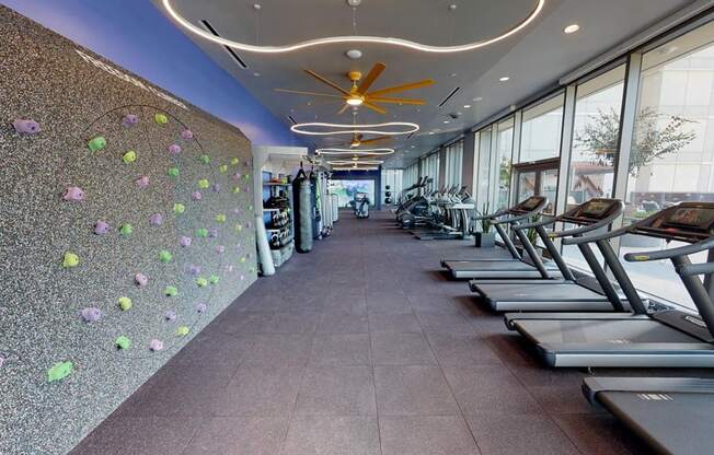 A gym with treadmills and a climbing wall.