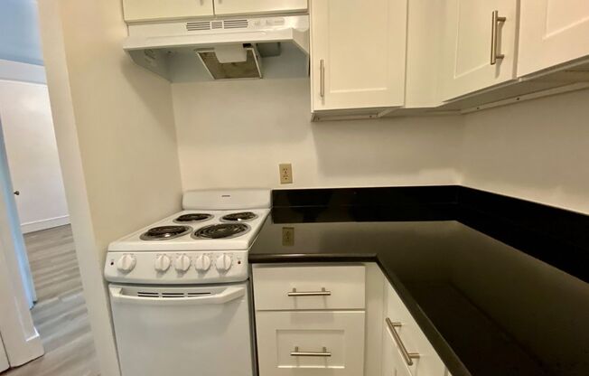 1 bed, 1 bath, 335 sqft, $1,350, Unit 207