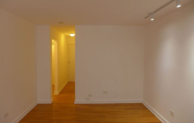 Studio, 1 bath, 305 sqft, $1,195, Unit 309