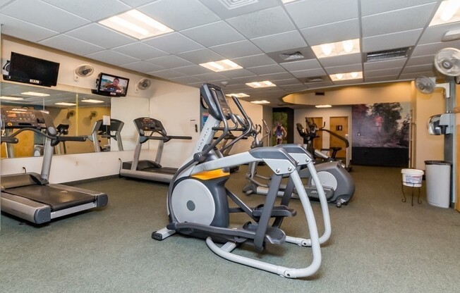 Studio, 1 bath, 500 sqft, $2,600, Unit 715