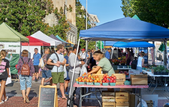 Shop at Numerous Close By Farmers Markets Including This One at Penn Quarter