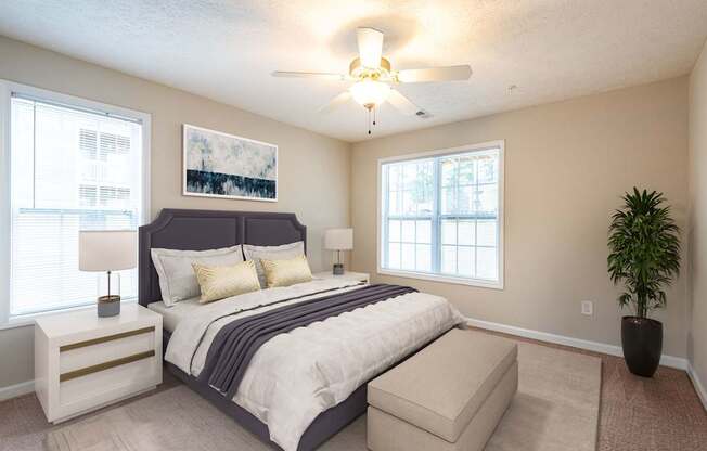 A bedroom with a large bed, a ceiling fan, and a potted plant.